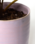 Close-up of the gradient color finish on a Chive Channa mauve ceramic medium planter pot.