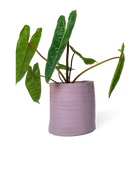 Chive Channa mauve ceramic small planter pot styled with a plant.