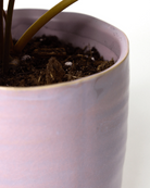 Close-up of the pattern and glaze finish on a Chive Channa mauve ceramic small pot.