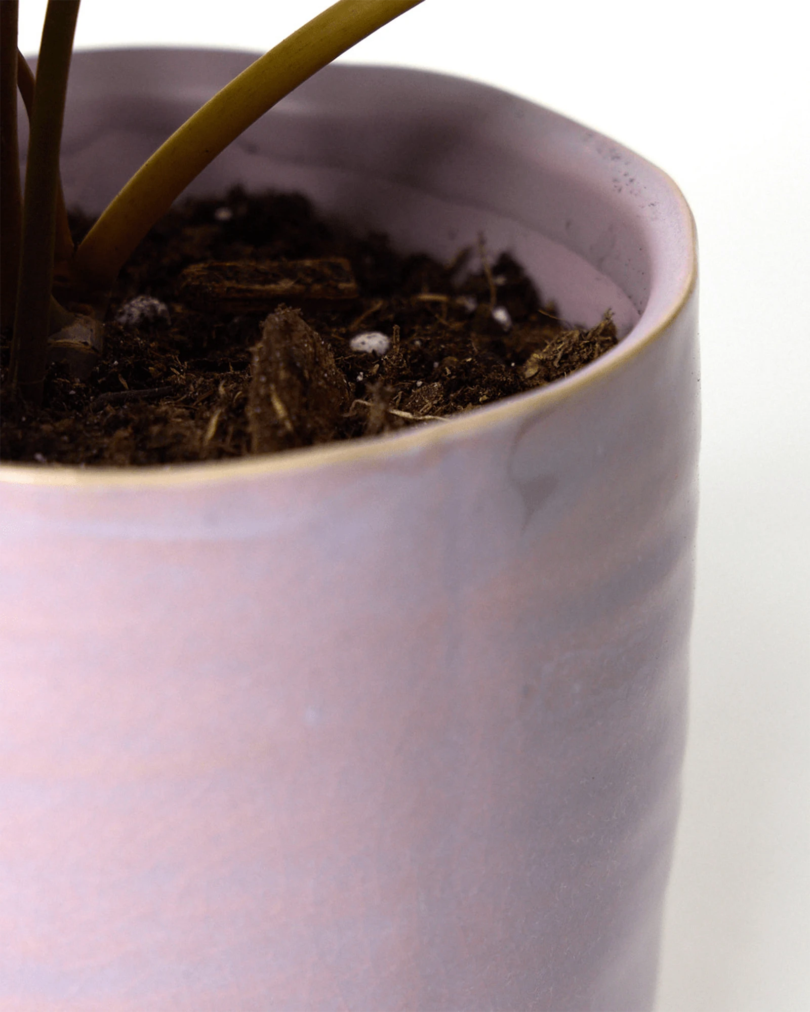 Close-up of the pattern and glaze finish on a Chive Channa mauve ceramic small pot.