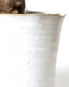 Close-up of the speckles pattern and uneven rim on a Chive Channa white speckles ceramic medium pot.