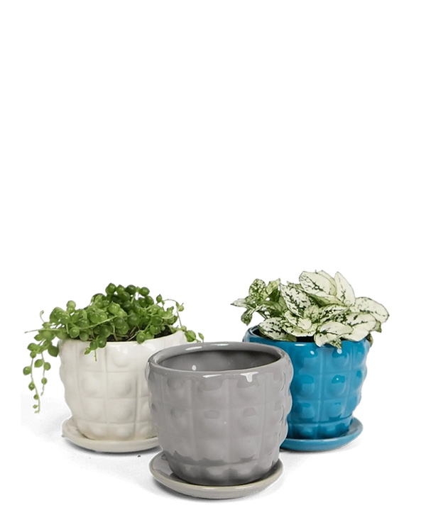 Convex Ceramic Pot With Drainage Hole And Saucer