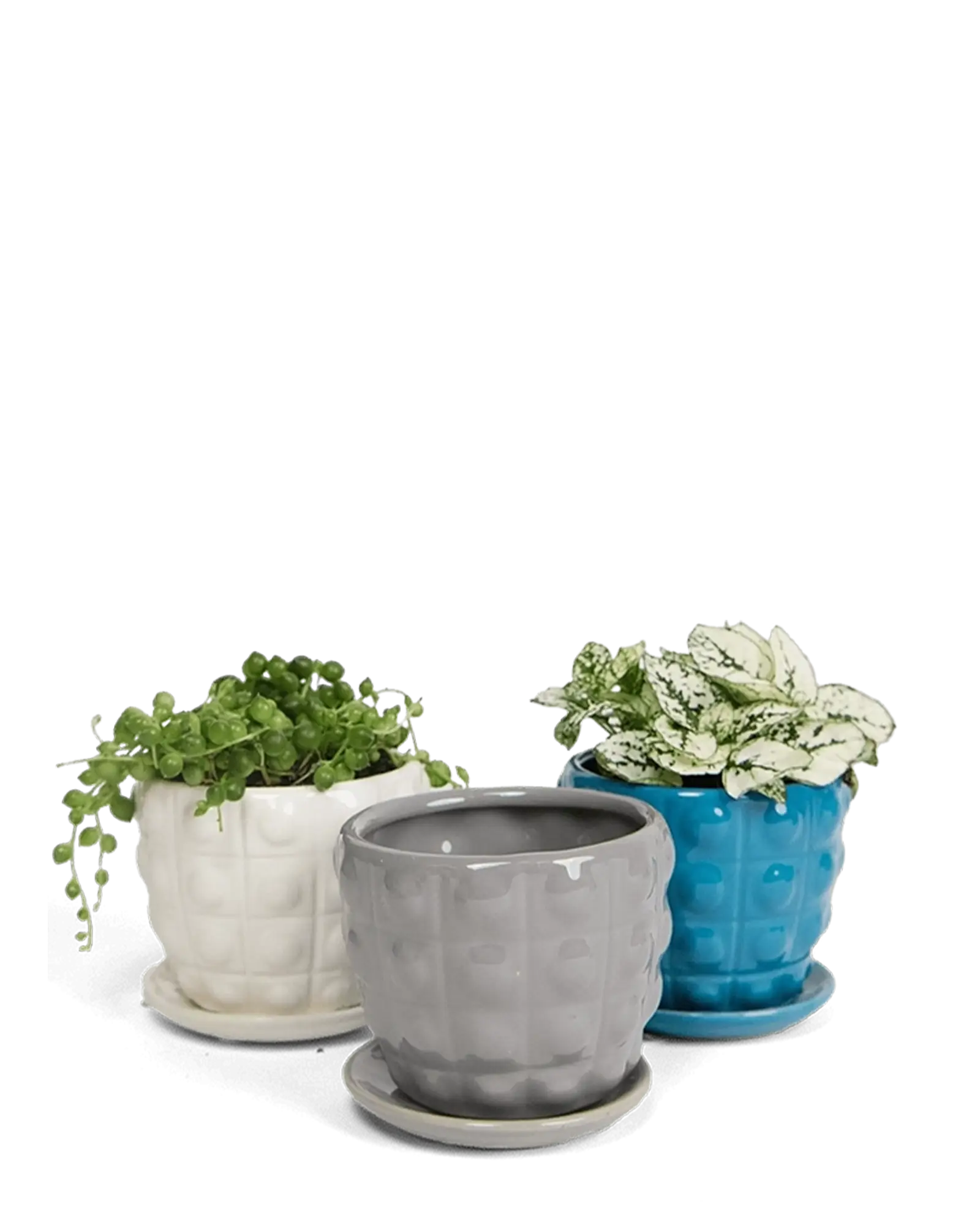 Chive Convex glazed ceramic planters with saucers in grey, white, and blue.