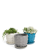 Chive Convex glazed ceramic medium planters in grey, white, and teal with matching saucers.