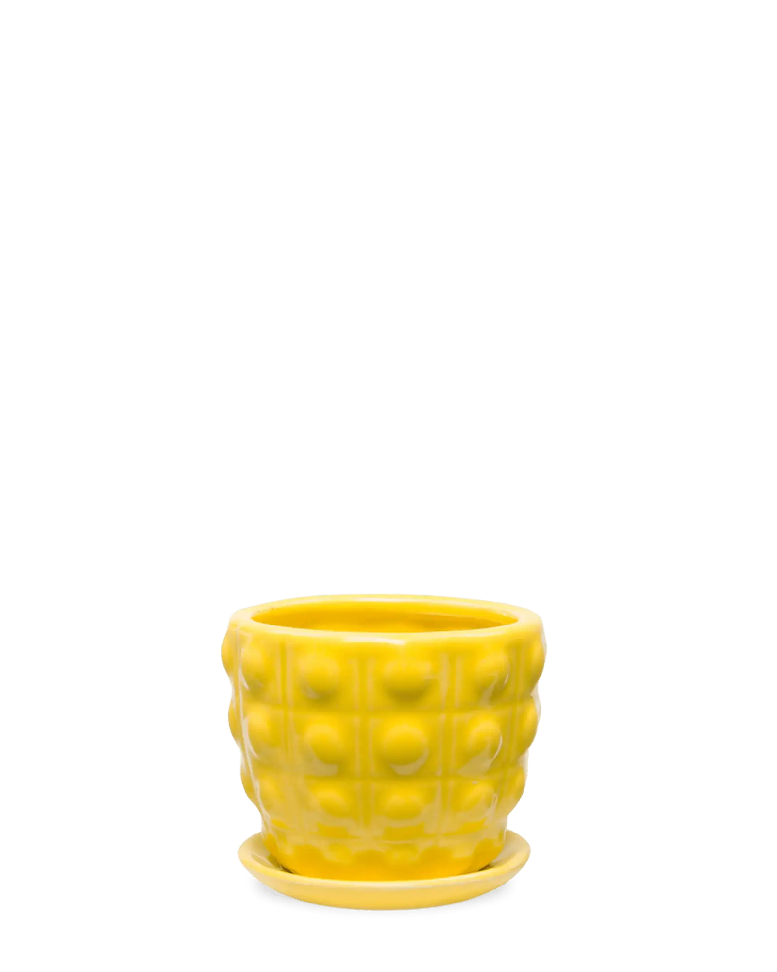 Chive Convex yellow fully glazed bubble-textured ceramic medium planter with saucer.