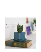 Chive Cube Saucer ceramic planter in biscay blue styled with a cactus on a vintage book.