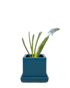 Chive Cube Saucer ceramic planter in biscay blue styled with a cactus on a vintage book.