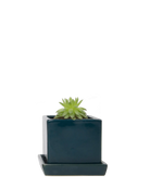 Chive Cube Saucer ceramic planter in glossy green blue teal with a matching saucer and succulent.