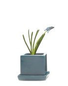 Chive Cube Saucer ceramic planter in glossy hydro blue with a matching saucer and grape hyacinth.