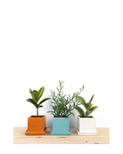 Chive Cube Saucer ceramic planters in orange, teal, and white displayed on a wood shelf with plants.
