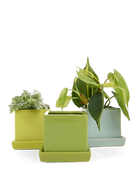 Chive Cube Saucer ceramic planters in three shades of green grouped together with houseplants.