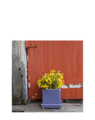Chive Cube Saucer ceramic planter in periwinkle blue styled outdoors with yellow flowers against a red wall.