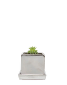 Chive Cube Saucer ceramic planter in glossy silver with a metallic finish, matching saucer, and succulent.