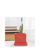 Chive Cube Saucer ceramic planter in glossy tomato red styled with a grape hyacinth beside stacked books.