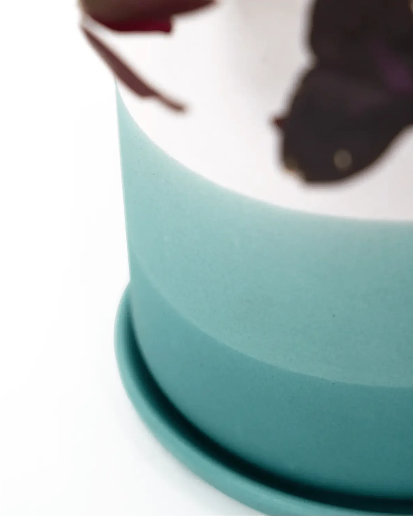 Close up of a Chive Devo ceramic planter with ombre white to teal gradient holding an oxalis.