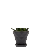Chive Diamond small black porcelain plant pot with drainage hole and detachable saucer, holding a plant.
