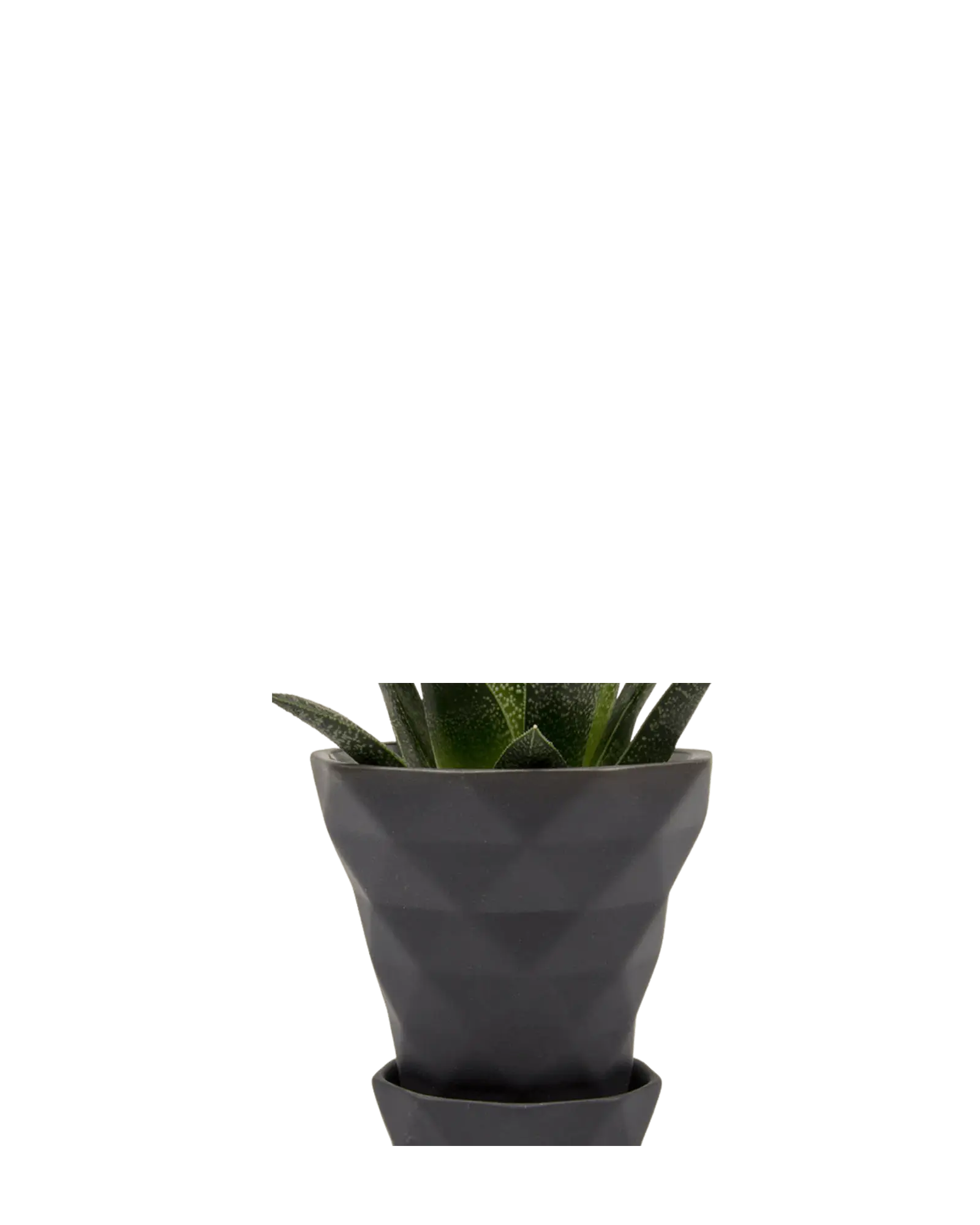 Chive Diamond black geometric faceted ceramic small planter holding a gasteria succulent.