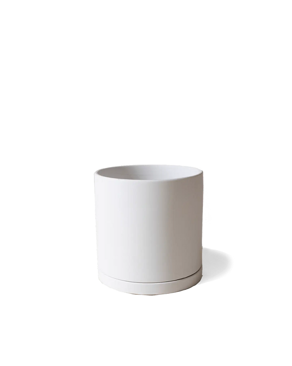 Dojo Large Porcelain Matte Indoor Plant Pot With Saucer, White