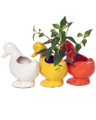 Three Chive Duck glazed ceramic duck shaped planters in white, yellow, and orange, styled with a plant.
