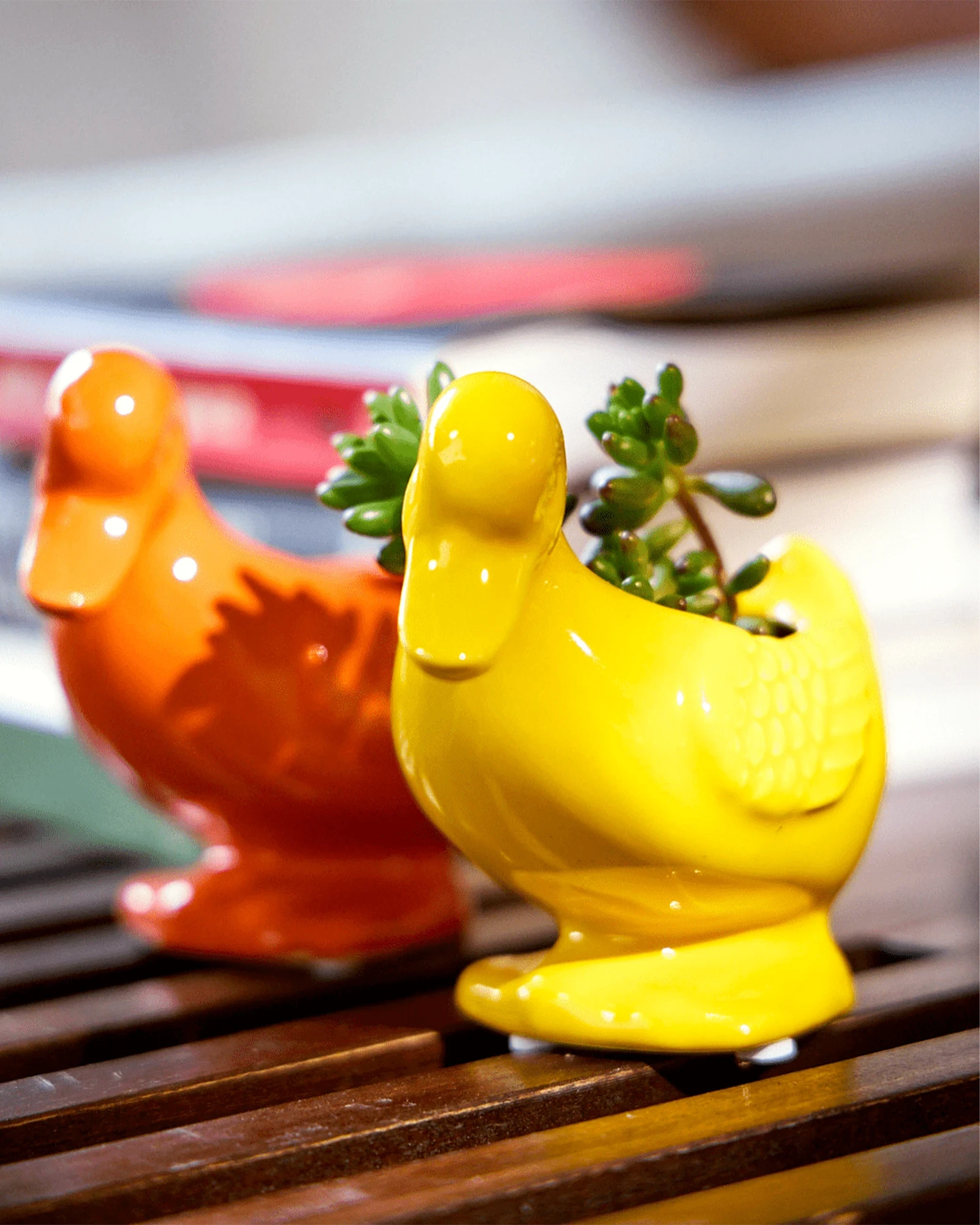 Two Chive Duck ceramic duck shaped planters in yellow and orange, styled with plants on a wood table.