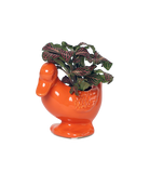 Chive Duck Orange color glazed ceramic duck shaped planter styled with a small plant.