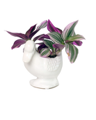Chive Duck White color glazed ceramic duck shaped planter styled with a plant.