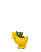 Chive Duck Yellow color glazed ceramic duck shaped planter styled with a small plant.