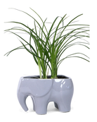 Chive Elephant Grey color glazed ceramic elephant shaped planter styled with a plant.
