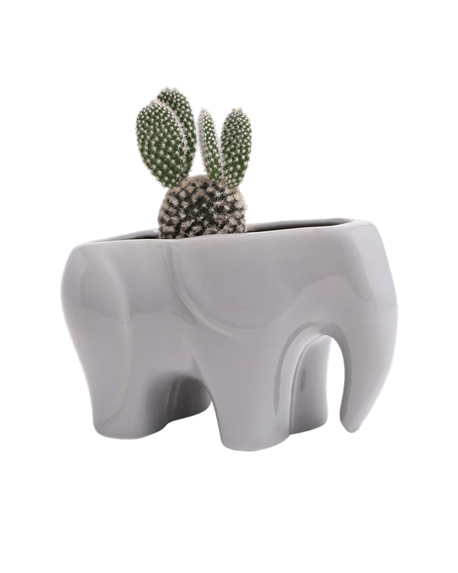 Chive Elephant Grey color glazed ceramic elephant shaped planter styled with a cactus.