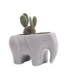 Chive Elephant Grey color glazed ceramic elephant shaped planter styled with a cactus.