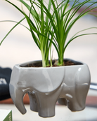 Chive Elephant Grey ceramic elephant shaped planter styled with a plant on a glass table in a bright room.
