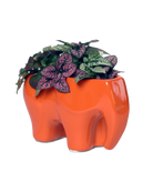 Chive Elephant Orange color glazed ceramic elephant shaped planter styled with a small plant.