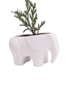 Chive Elephant White color glazed ceramic elephant shaped planter styled with a plant.