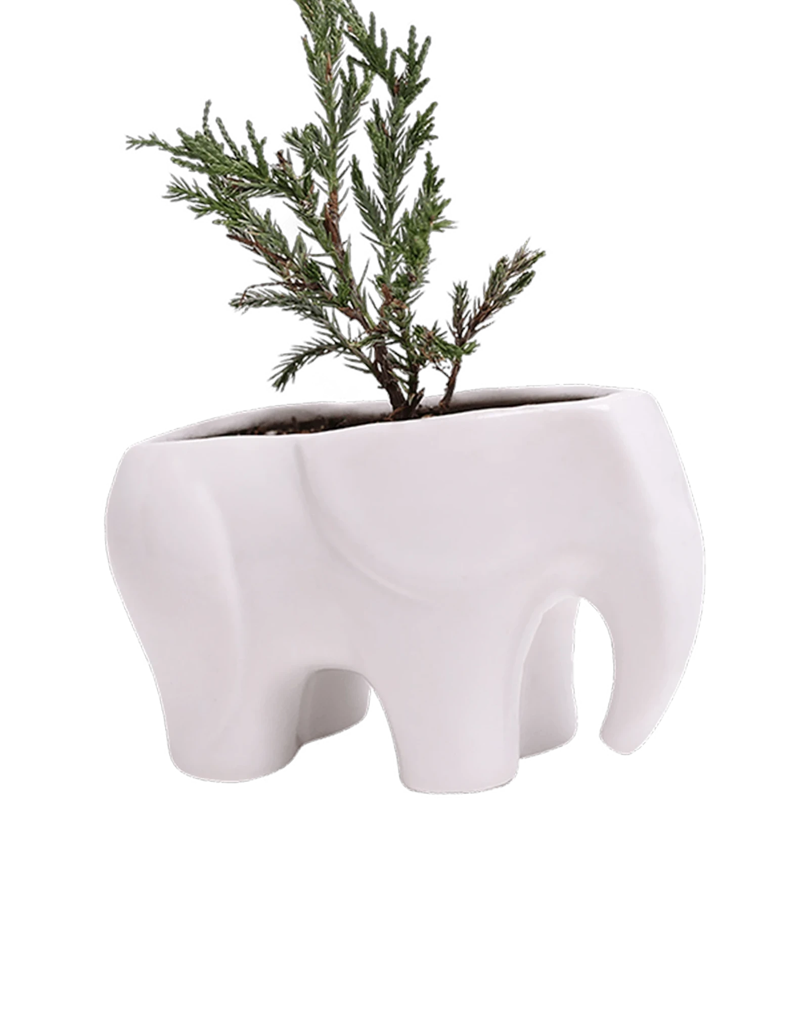 Chive Elephant White color glazed ceramic elephant shaped planter styled with a plant.