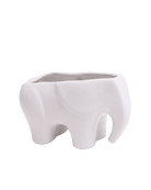 Chive Elephant White color ceramic elephant shaped succulent planter with no drainage.