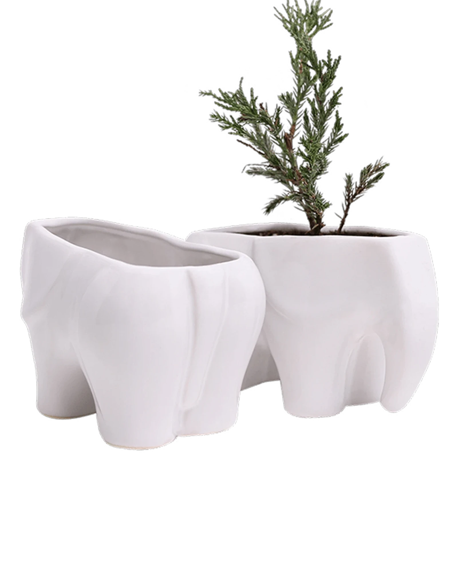 Two Chive Elephant White color glazed ceramic elephant shaped planters styled with a plant.