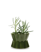 Chive Fang medium ceramic planter for succulents in color army green styled with a small plant.