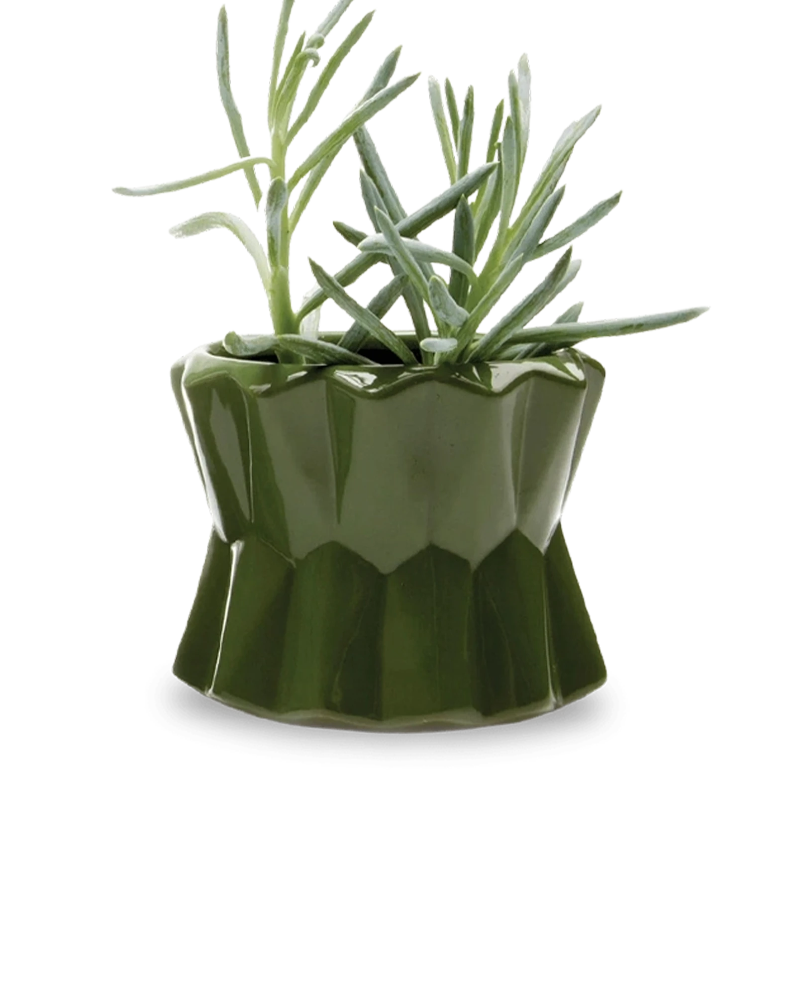 Chive Fang medium ceramic planter for succulents in color army green, with no drainage.