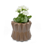 Chive Fang small ceramic planter for succulents in mocha color styled with a small plant.