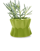 Chive Fang medium ceramic planter for succulents in color olive styled with a small plant.