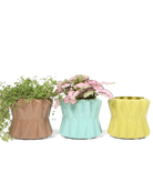 Three Chive Fang small ceramic planters for succulents styled with small plants.