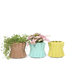 Three Chive Fang small ceramic planters for succulents styled with small plants.