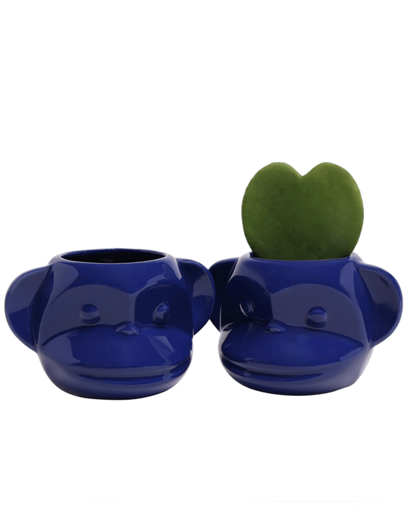 Two Chive Funky Monkey Blue glazed ceramic monkey shaped planters styled with a small plant.