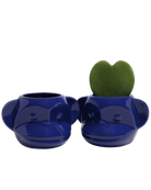 Two Chive Funky Monkey Blue glazed ceramic monkey shaped planters styled with a small plant.