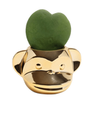 Chive Funky Monkey Gold color glazed ceramic monkey shaped planter styled with a small plant.