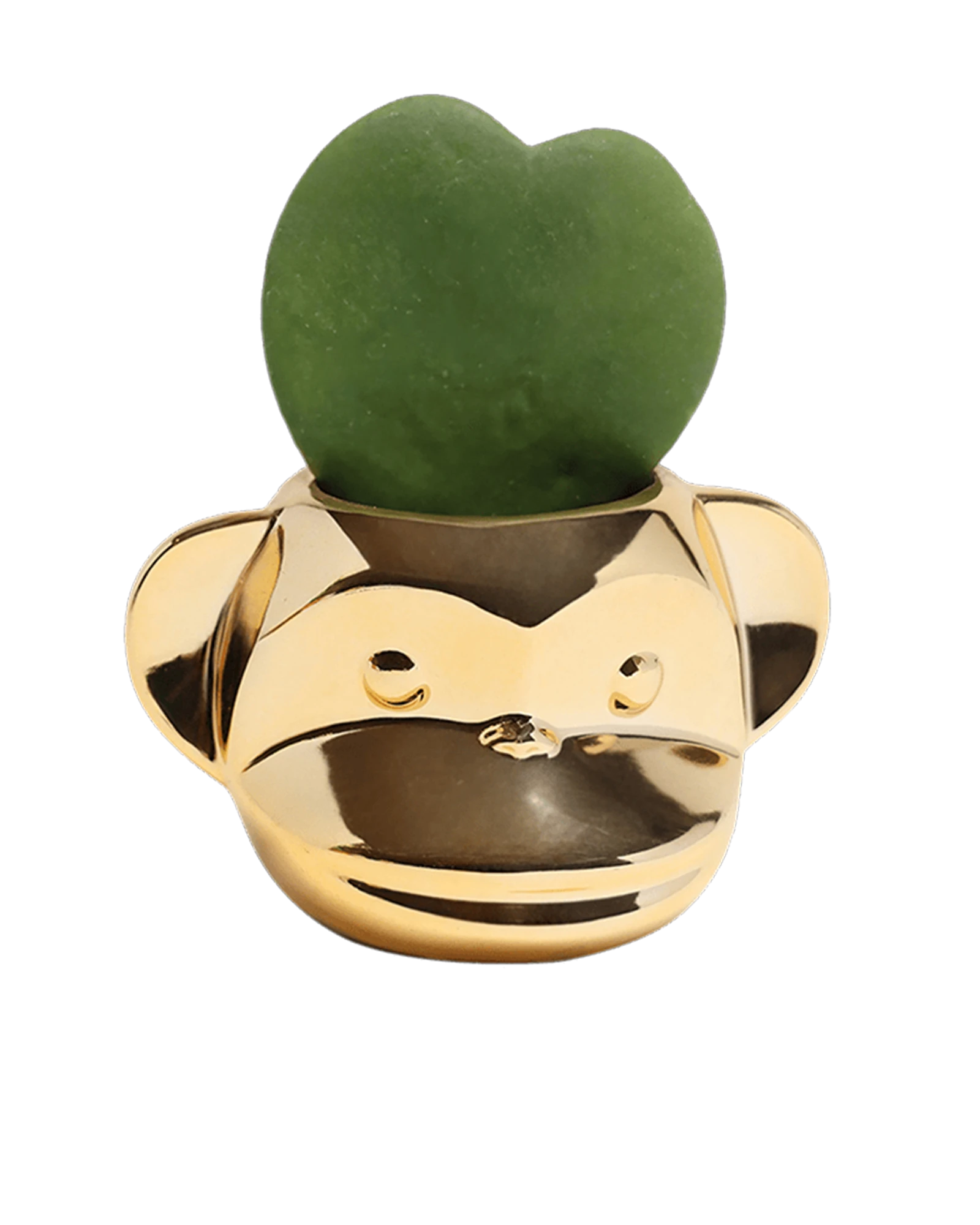 Chive Funky Monkey Gold color glazed ceramic monkey shaped planter styled with a small plant.