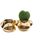 Two Chive Funky Monkey Gold color glazed ceramic monkey shaped planters styled with a small plant.