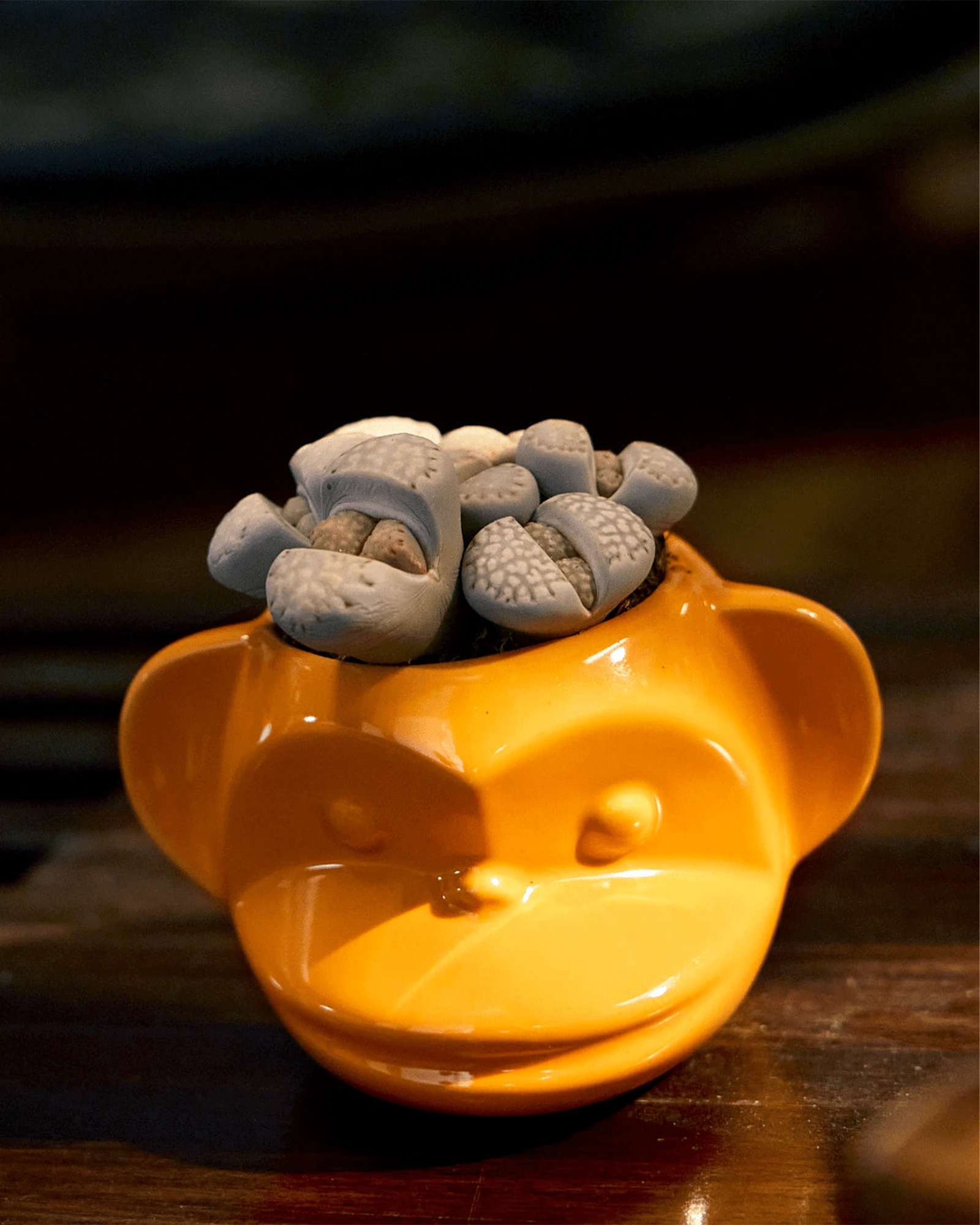 Chive Funky Monkey Orange color glazed ceramic monkey shaped planter styled with a succulent on a wood table.
