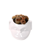 Top view of Chive Funky Monkey White glazed ceramic monkey shaped planter styled with a succulent.