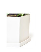 Close-up of the angular corner edge and saucer on a Chive Hexi white matte ceramic medium pot.